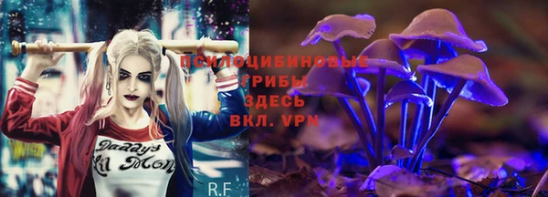 героин Алексин