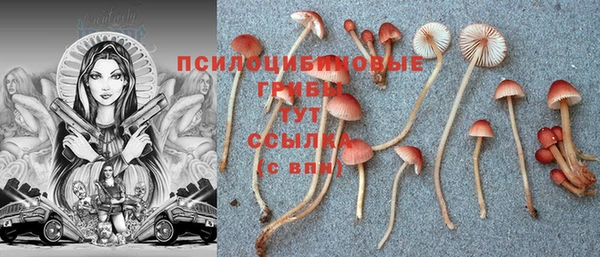 кристаллы Алзамай